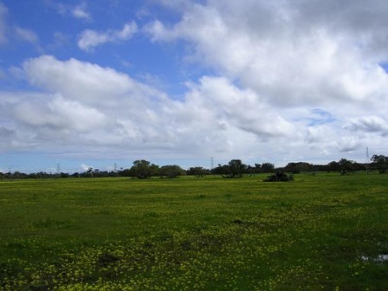 LOT 3 MONACO ROAD, Waroona WA 6215