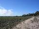 DOODENANNING ROAD, Greenhills WA 6302