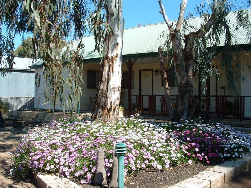 York WA 6302