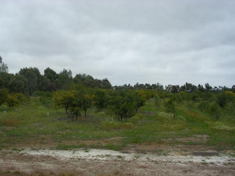 LOT 964 DOBADERRY ROAD, Beverley WA 6304