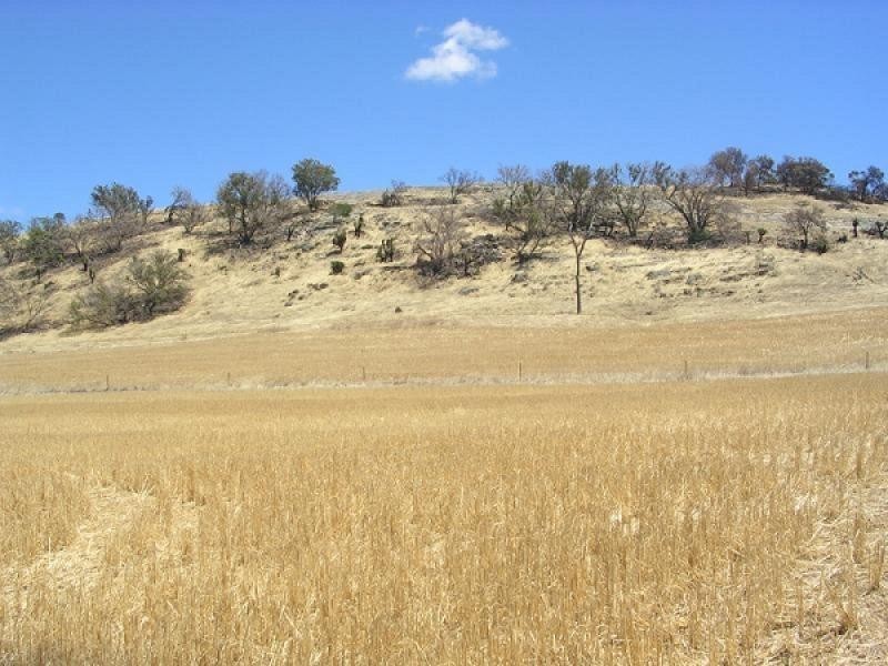 105 YORK WILLIAMS ROAD, Beverley WA 6304