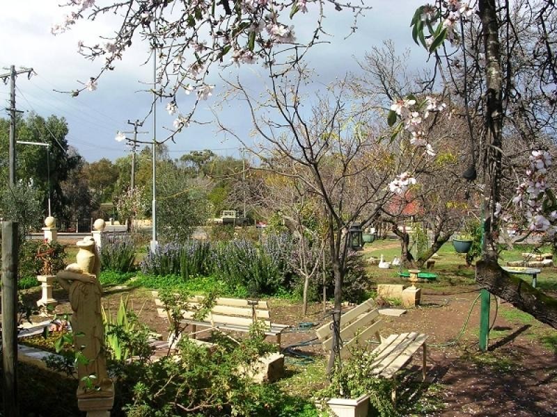 13 HARRIOTT STREET, York WA 6302