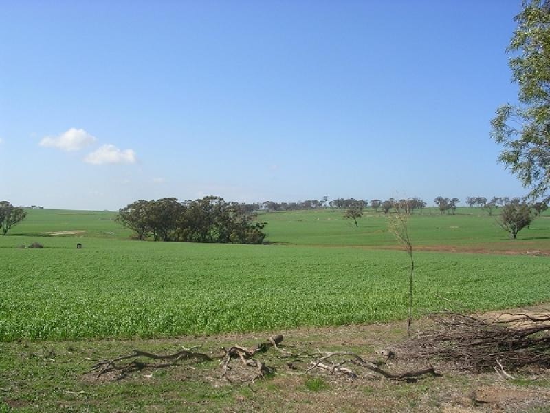 6715 Bally Bally Road, Bally Bally WA 6304