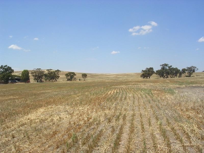 41 KNOTTS ROAD, York WA 6302