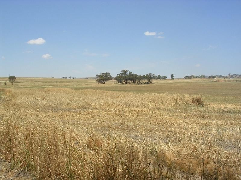 41 KNOTTS ROAD, York WA 6302