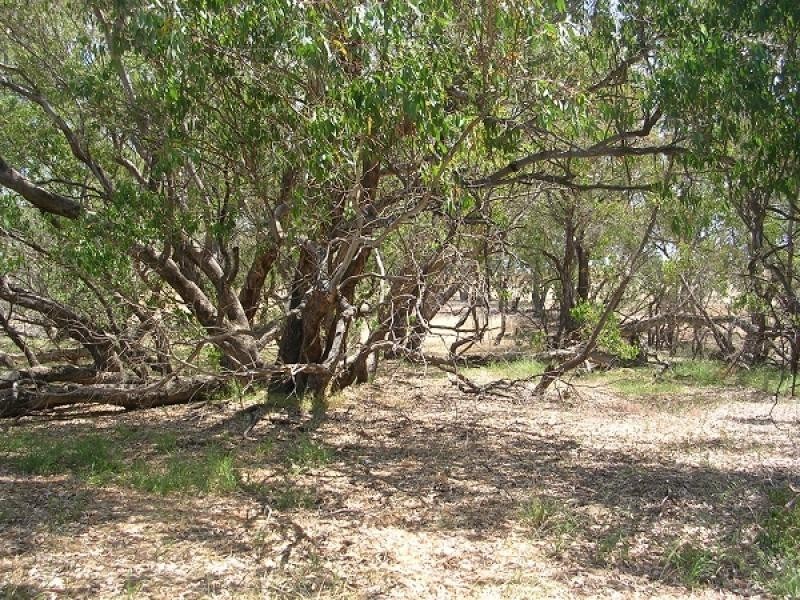 41 KNOTTS ROAD, York WA 6302