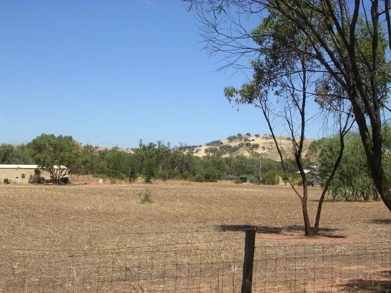 1867 TOP BEVERLEY ROAD, York WA 6302