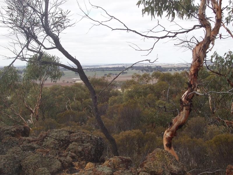 21972 Davis Road, Brookton WA 6306