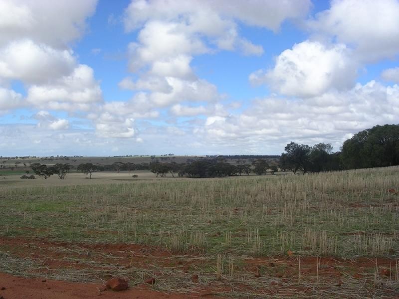 8 Toapin Road, Quairading WA 6383