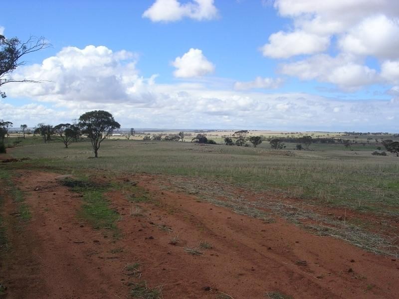 8 Toapin Road, Quairading WA 6383