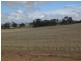 8 Toapin Road, Quairading WA 6383