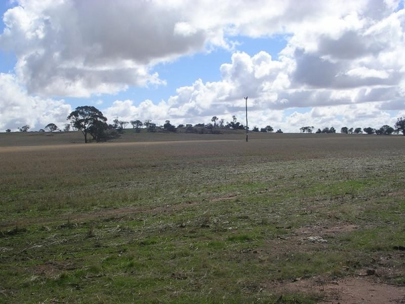 8 Toapin Road, Quairading WA 6383
