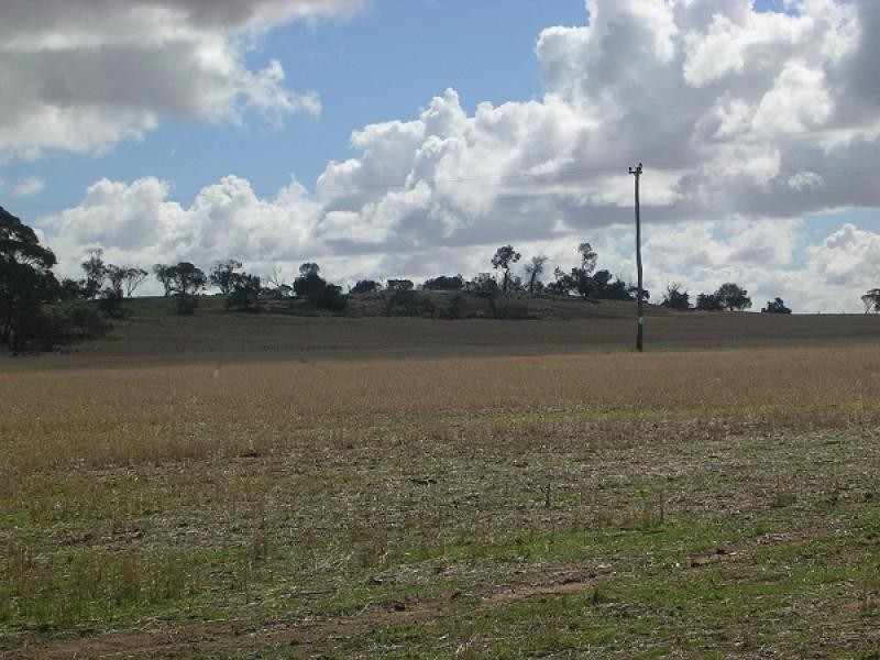 8 Toapin Road, Quairading WA 6383