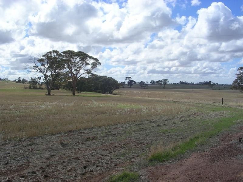 8 Toapin Road, Quairading WA 6383
