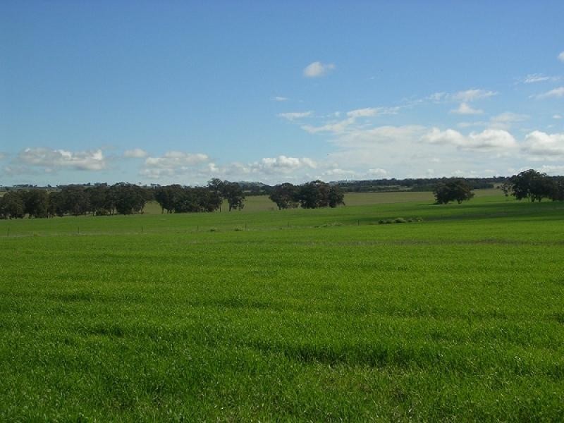 LOT 286 MAITLAND ROAD, Beverley WA 6304