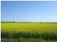 Lot 149 Quellington Road, Meckering WA 6405