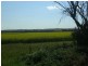 Lot 149 Quellington Road, Meckering WA 6405