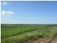 Lot 146 Quellington Road, Meckering WA 6405