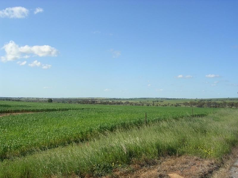 Lot 146 Quellington Road, Meckering WA 6405