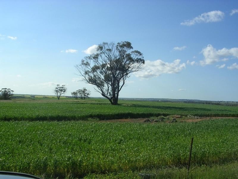 Lot 146 Quellington Road, Meckering WA 6405