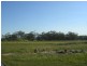 Lot 146 Quellington Road, Meckering WA 6405