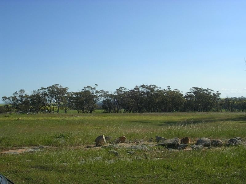 Lot 146 Quellington Road, Meckering WA 6405