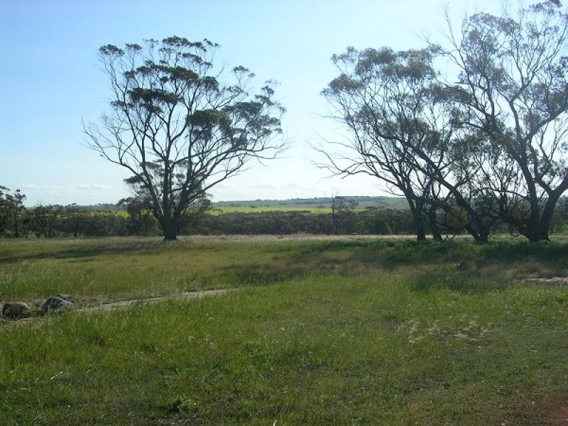 Lot 146 Quellington Road, Meckering WA 6405