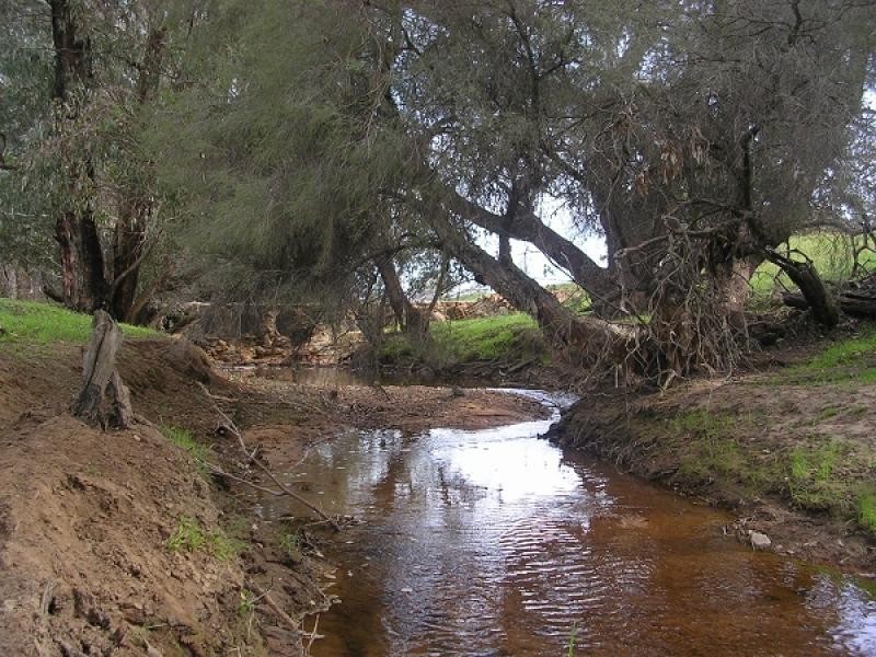 239 Ashworth Road, York WA 6302