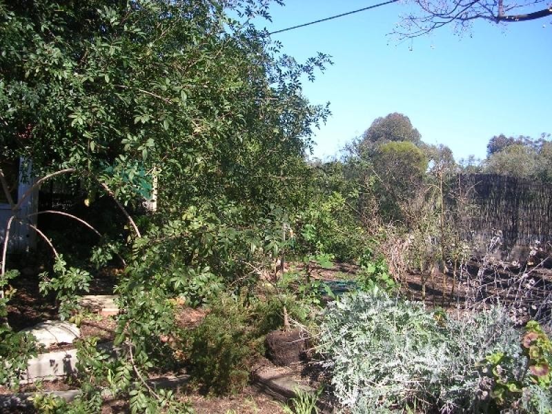 10 Scarpia Street, York WA 6302