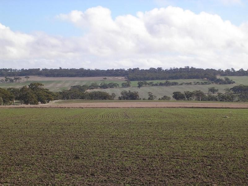 Lot 2 Doodenanning Road, Greenhills WA 6302