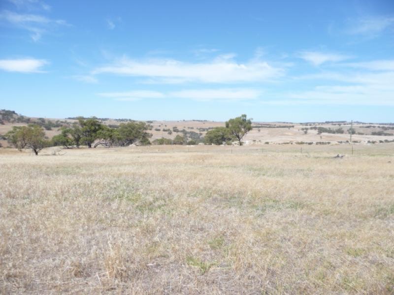 Lot 807/ Knotts Road, York WA 6302