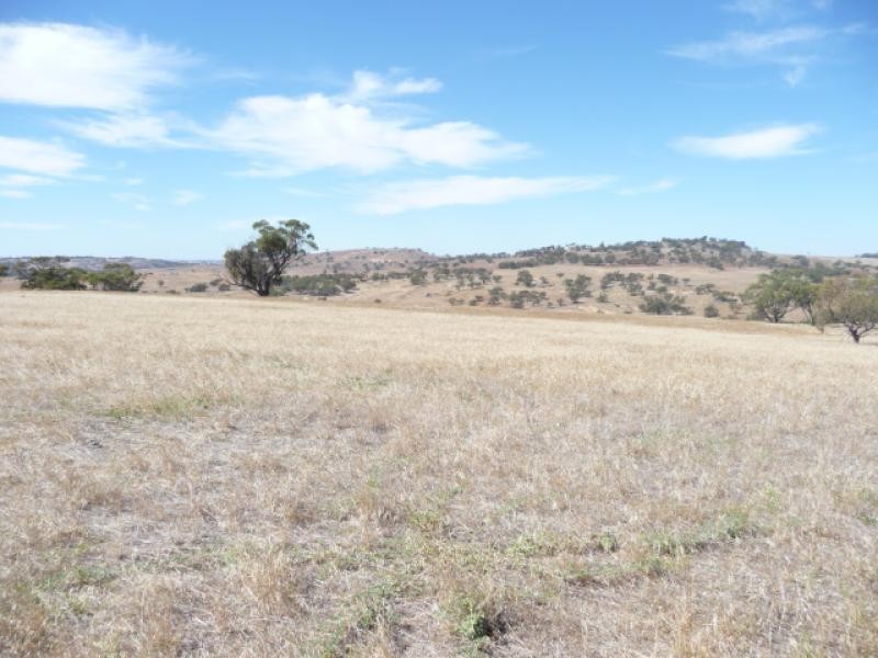 Lot 807/ Knotts Road, York WA 6302