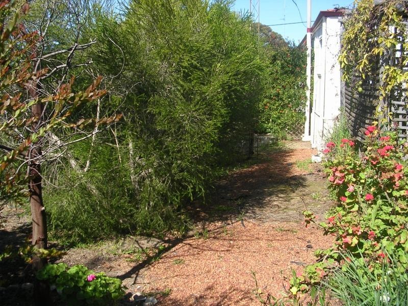 10 Scarpia Street, York WA 6302