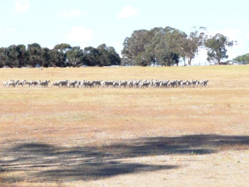 Lot 2/ Jacobs Well Road, Beverley WA 6304