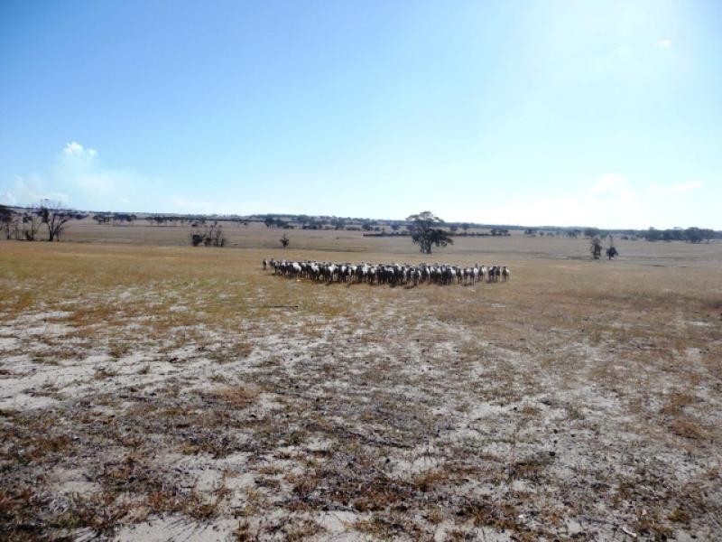 Lot 2/ Jacobs Well Road, Beverley WA 6304