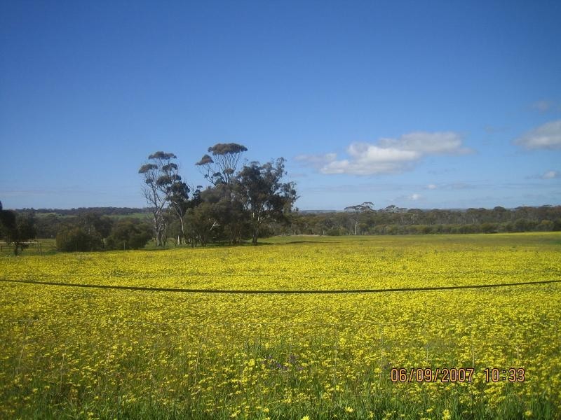 4070 Quairading York Road, Kauring WA 6302