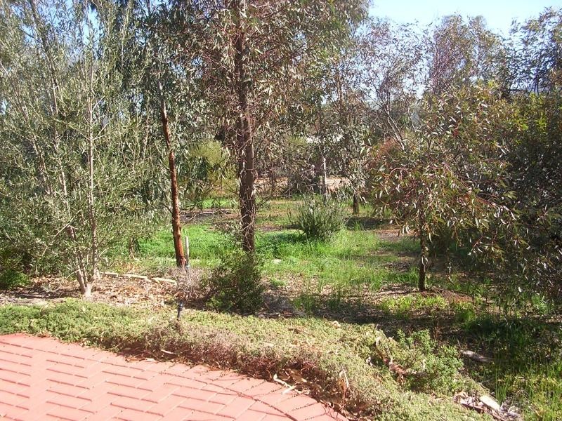 24 Bouverie Road, York WA 6302