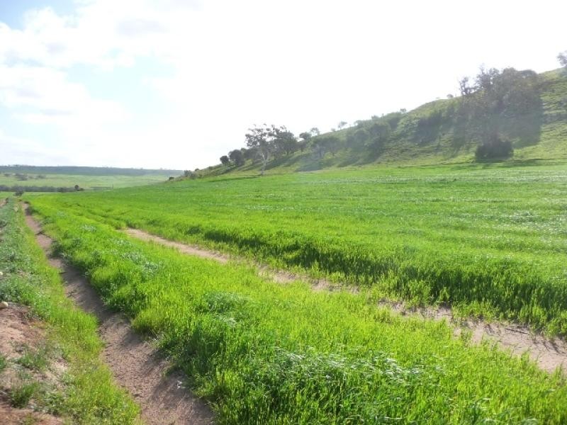 Lot 105/ York Williams Road, Beverley WA 6304