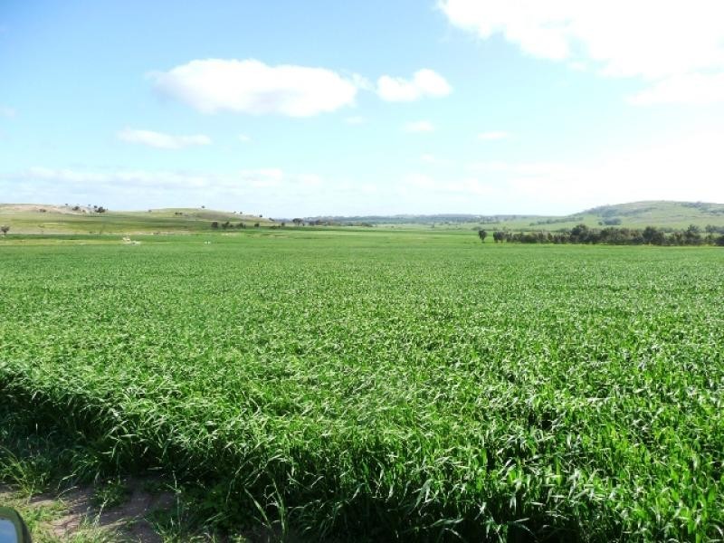 Lot 105/ York Williams Road, Beverley WA 6304