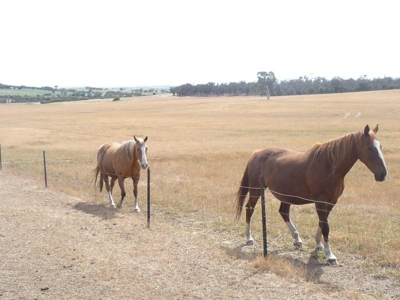 129 Tyrer Road, Brookton WA 6306