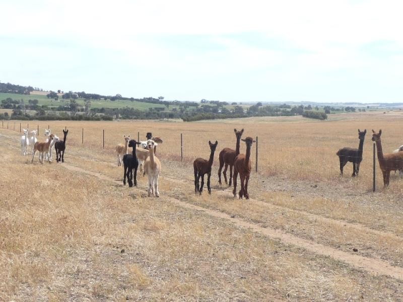 129 Tyrer Road, Brookton WA 6306