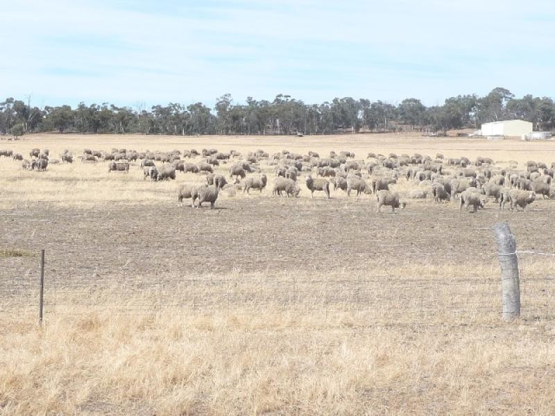 129 Tyrer Road, Brookton WA 6306