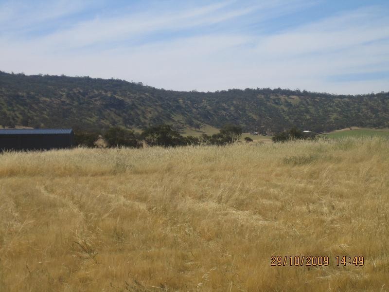 53 Andrews Avenue, York WA 6302