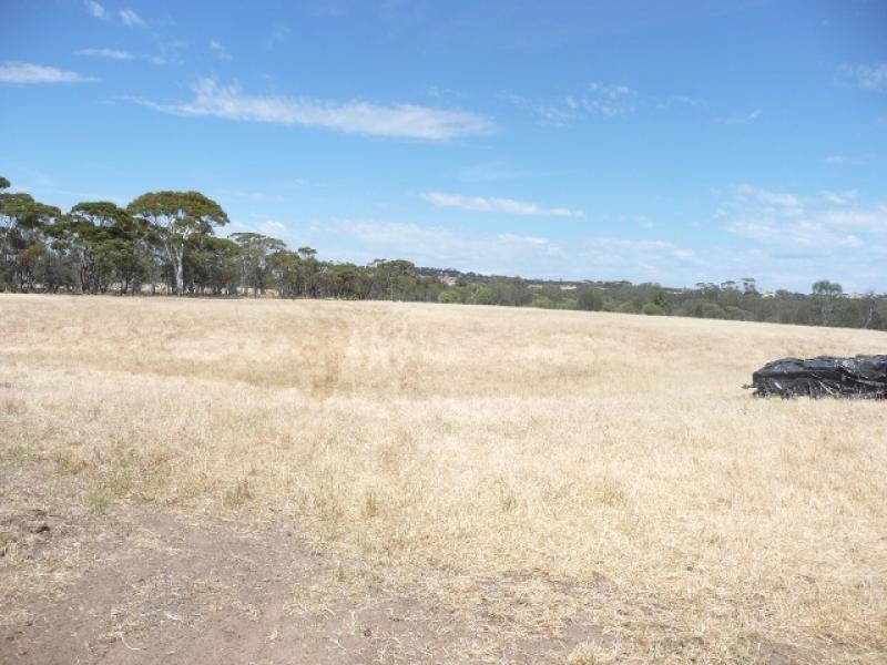 3 Nicholas Street, Beverley WA 6304