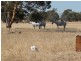 133 Sheahan Road, Beverley WA 6304
