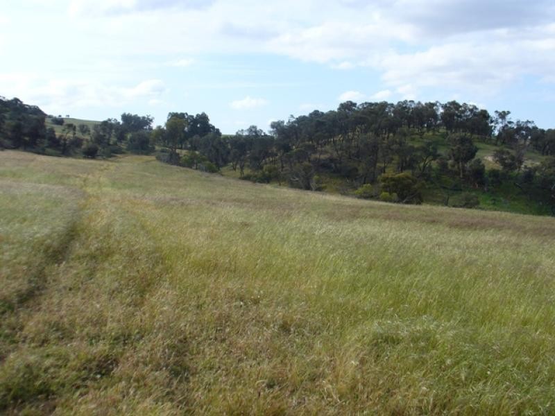 Lot 4/ Ashworth Road, York WA 6302