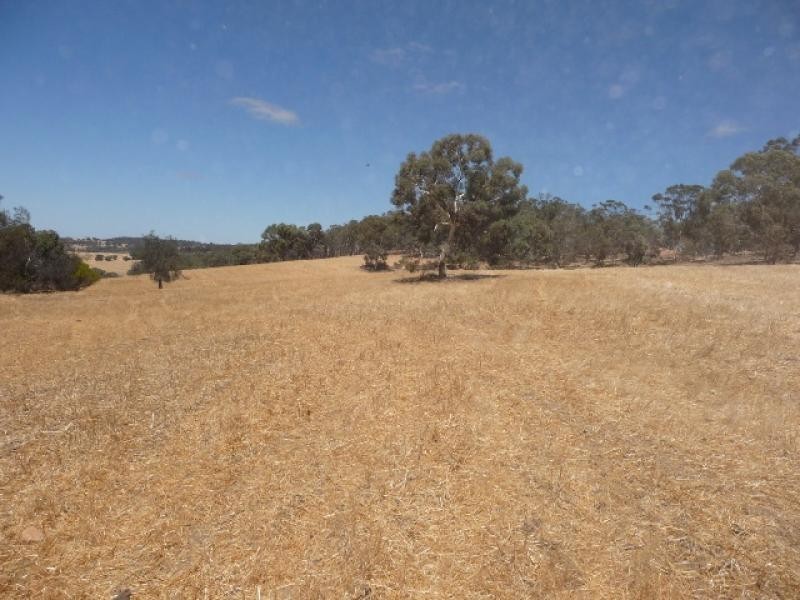 Lot 9/ Ashworth Road, York WA 6302