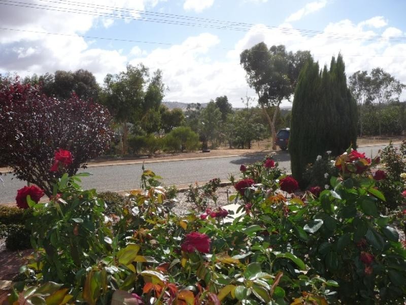 13 Maud Street, York WA 6302