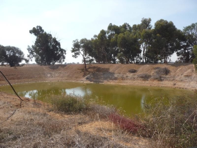 6 Marwick Road, York WA 6302