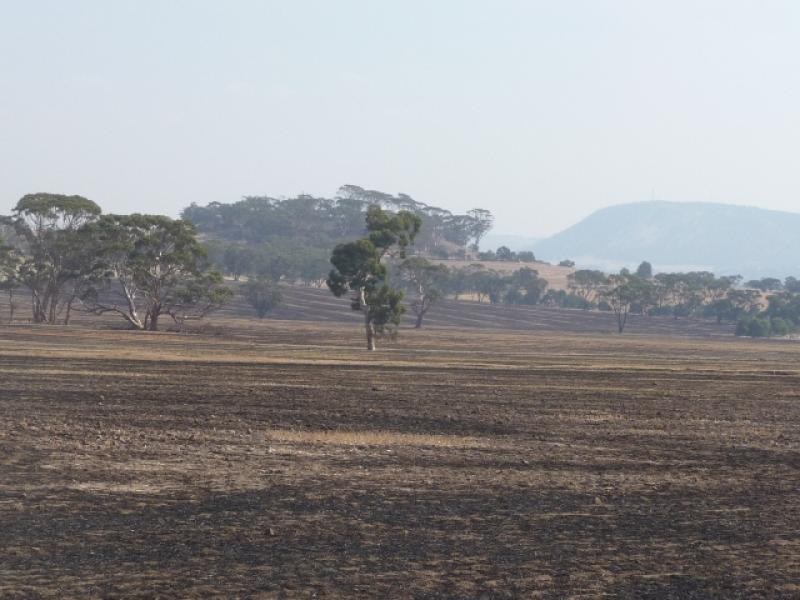 6 Marwick Road, York WA 6302